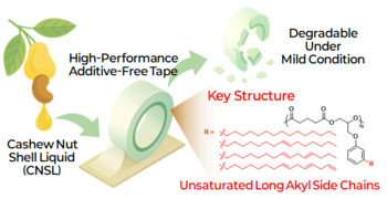 인하대 ‘스카치 테이프’ 대체 물질 개발… 캐슈넛 껍질 활용     