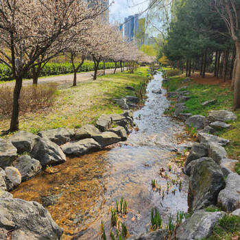 인천환경공단, 영종국제도시 자연형 실개천 유지용수 공급 재개