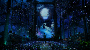 강릉시, 내달 2일 '하슬라강릉 이머시브 아트쇼' 사전 오픈