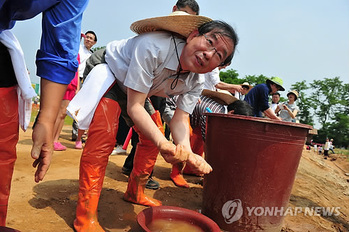 벼농사 지은 박원순, 빌라 짓자는 정원오 … '가스라이팅 행정'의 추악한 몰골  