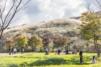 합천군, 산림행정 빛났다…재난 대응부터 관광 활성화까지