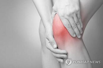 무릎연골 살리는 주사 나오나 … K-골관절염 치료제, 美·日 상업화 성큼