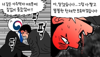[윤서인의 뉴데툰] 똘똘한 한 채