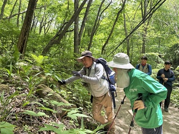 북부지방산림청, 점봉산 산림유전자원보호구역 현장 점검