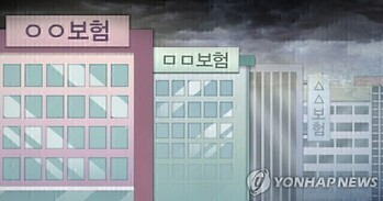 메리츠에 밀린 DB손보 … 美 포테그라 인수로 2위 탈환전