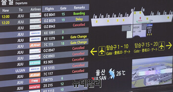 위기의 항공업계, LCC 물론 대한항공도 2Q 대규모 적자 유력