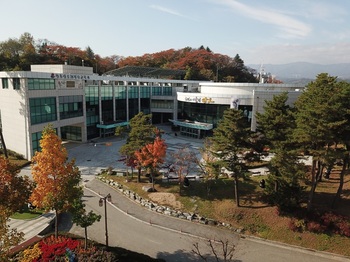 강릉단오제전수교육관, 2026년 공연예술 지역유통 지원사업 3건 선정