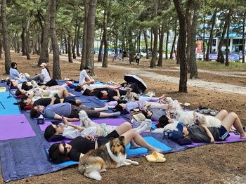 강릉시, 13~14일 제3회 강릉해양레저 펫가족 힐링페스티벌 개최