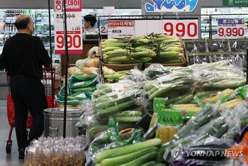 소비자물가 5년 만에 개편 … 땅콩 빠지고 밀키트·챗GPT 들어간다