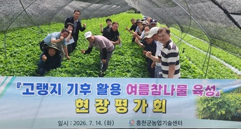 [포토뉴스] 홍천군, 고랭지 기후 활용 참나물 재배 현장 평가회 개최 